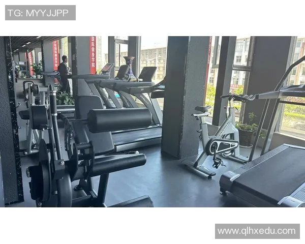 探索体育健身器材网的最佳选择助你打造完美身材与健康生活方式